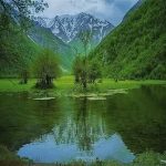 دانلود اهنگ الی سایکو | میشم سایکو توی نایتو میکنمت های چون