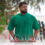 Mohsen Nataj – Kochehaye Shahr